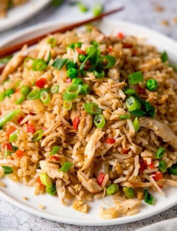 Weight Watchers Chicken Fried Rice Recipe