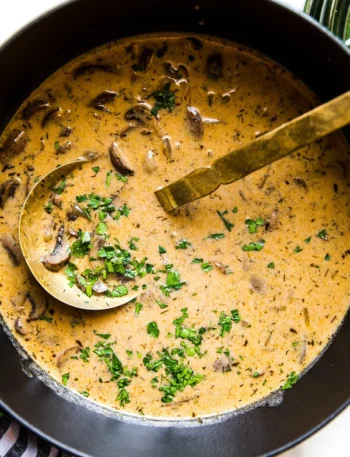 Hungarian Mushroom Soup Super Easy