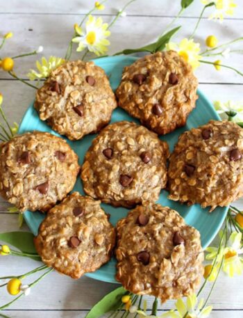 Chocolate Peanut Butter Oatmeal Cookies