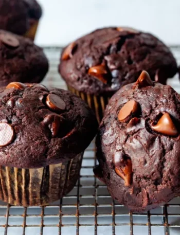 Two Point Weight Watchers Double Chocolate Chip Muffins