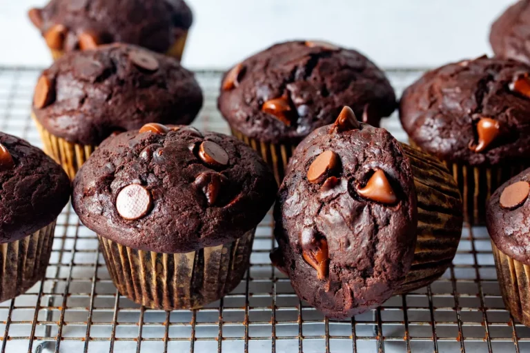Two Point Weight Watchers Double Chocolate Chip Muffins